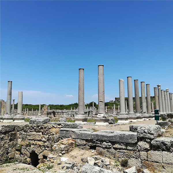 COME AND ERECT A COLUMN IN PERGE
